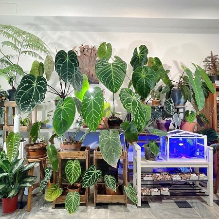 Home In تاينان المظهر الخارجي الصورة