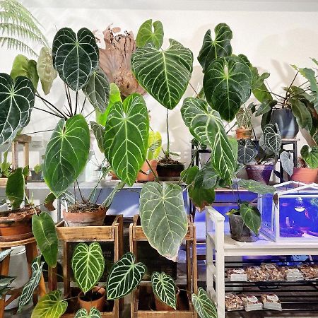 Home In تاينان المظهر الخارجي الصورة