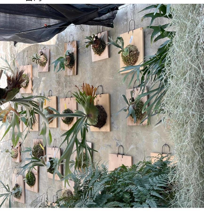 Home In تاينان المظهر الخارجي الصورة
