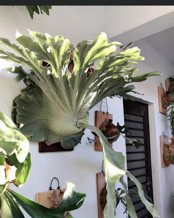 Home In تاينان المظهر الخارجي الصورة