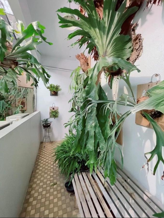 Home In تاينان المظهر الخارجي الصورة